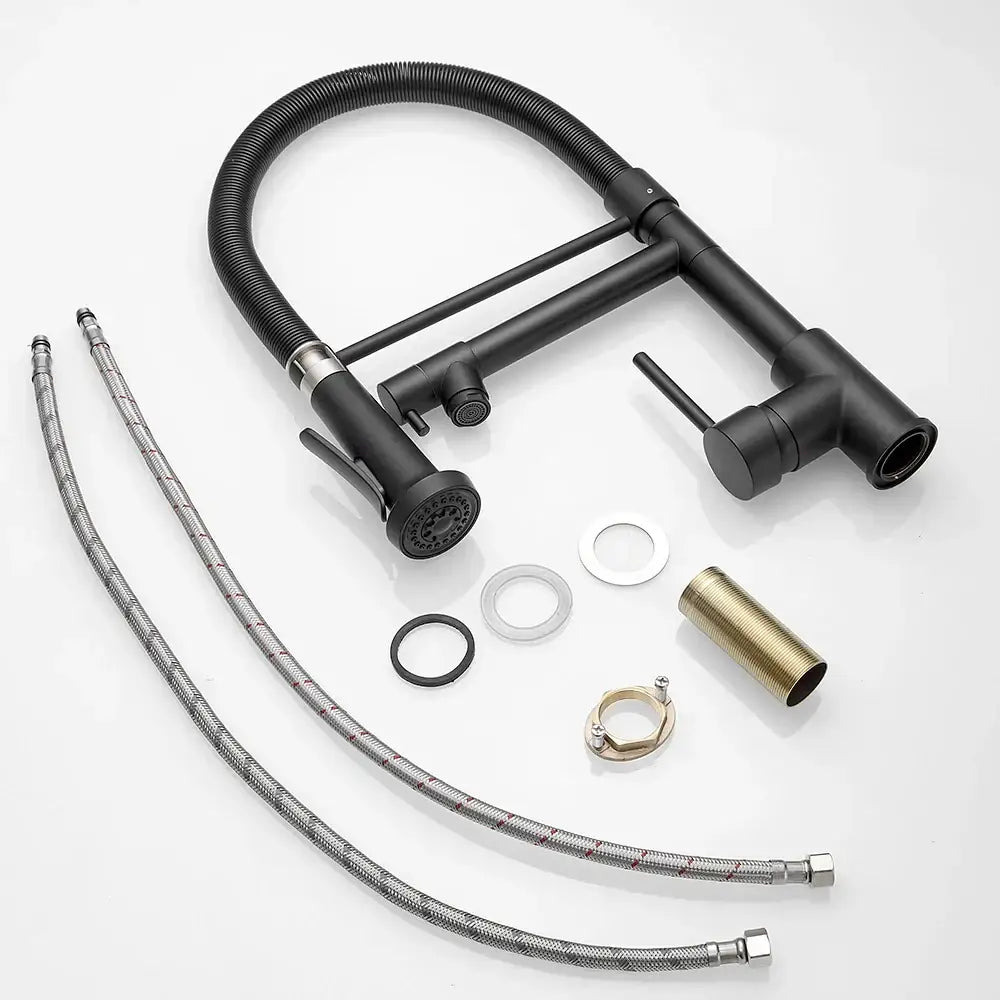 DecorBites™ Black Spring Kitchen Faucet with Sprayer and Brushed Nickel Finish