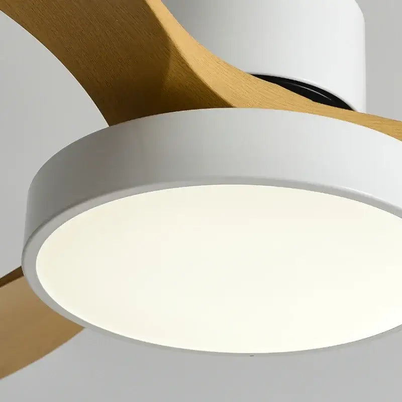 Modern white & black ceiling fan with blade copper motor bedroom