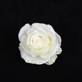 DecorBites™ 30PCS Silk Roses Wedding Decor DIY Home Decoration, Brooch Gifts, Candy Box