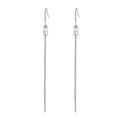 TK3599 - High polished (no plating) Stainless Steel Earrings with AAA Grade CZ  in Clear