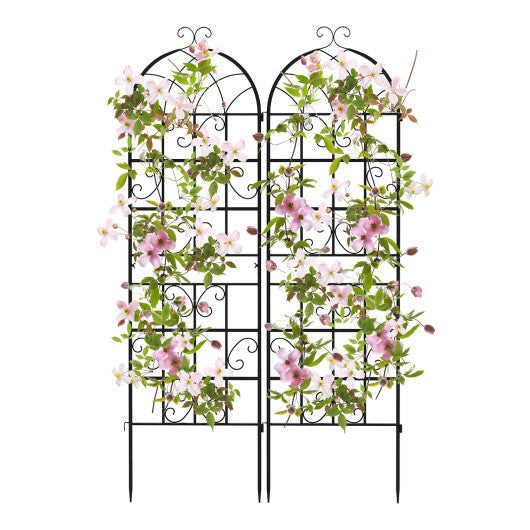 71" Tall Metal Garden Trellis for Climbing Plants 2 Pack Fence Panels Retro
