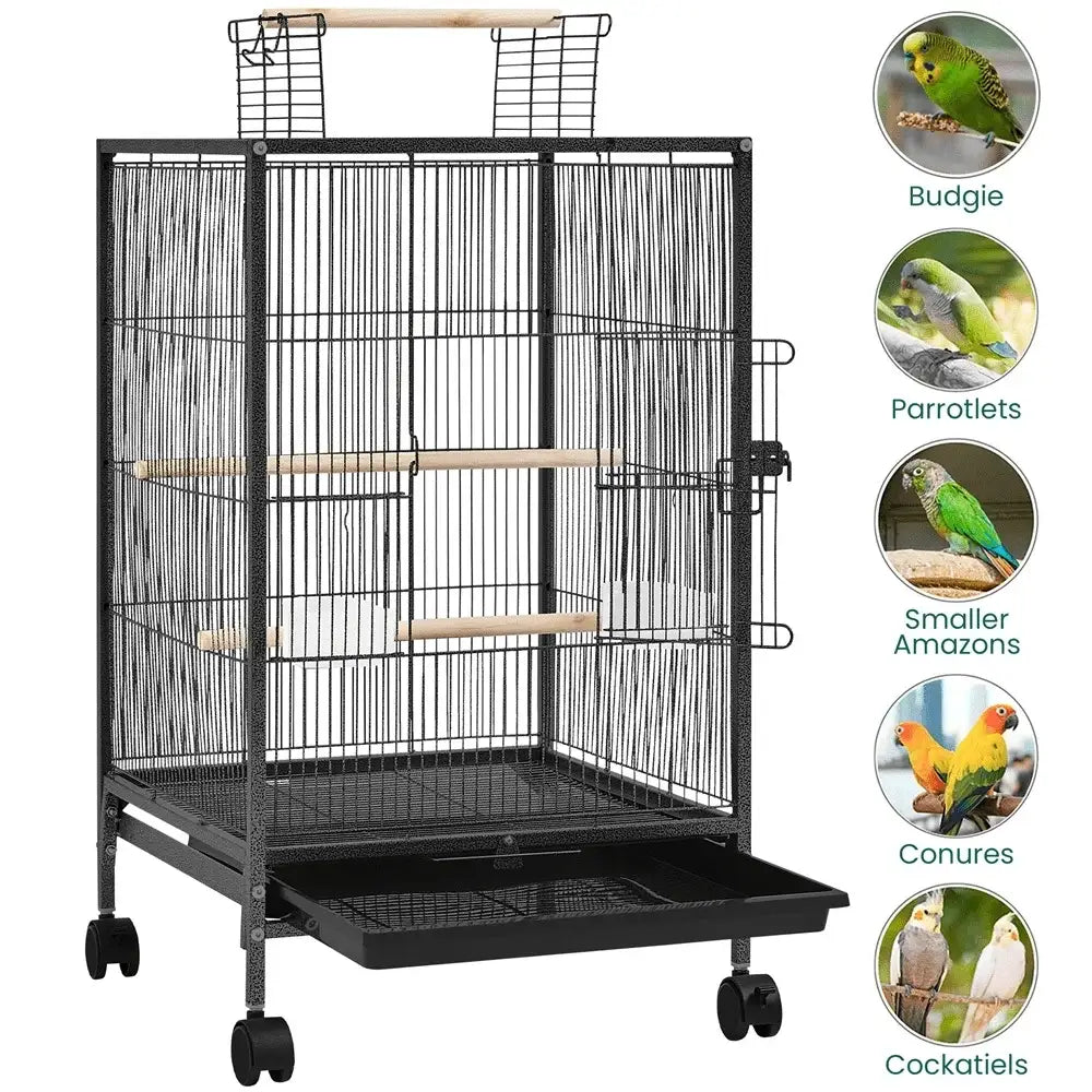 Black metal wheeled bird cage with wooden perches for living room